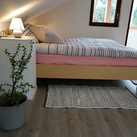 Apartma Erzen Zgornje Gorje Exterior photo