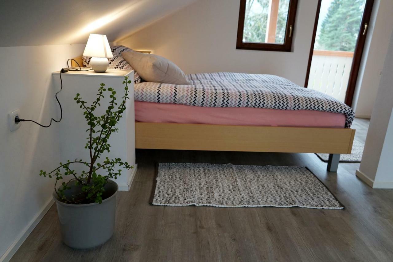 Apartma Erzen Apartment