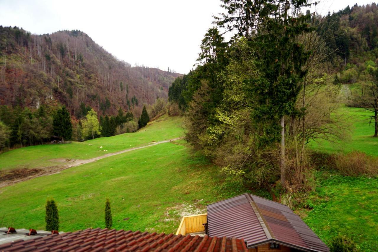 Apartma Erzen
