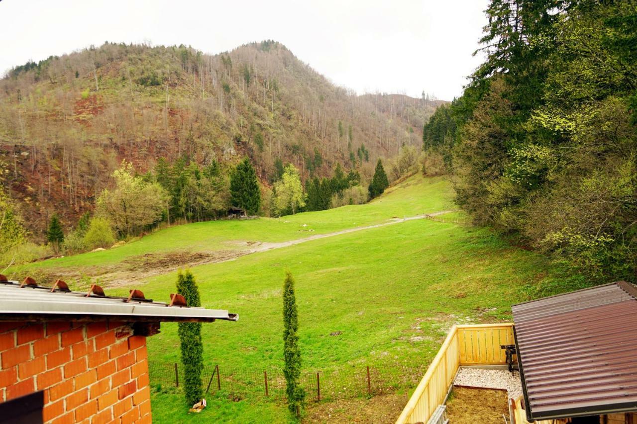 Apartment Apartma Erzen *