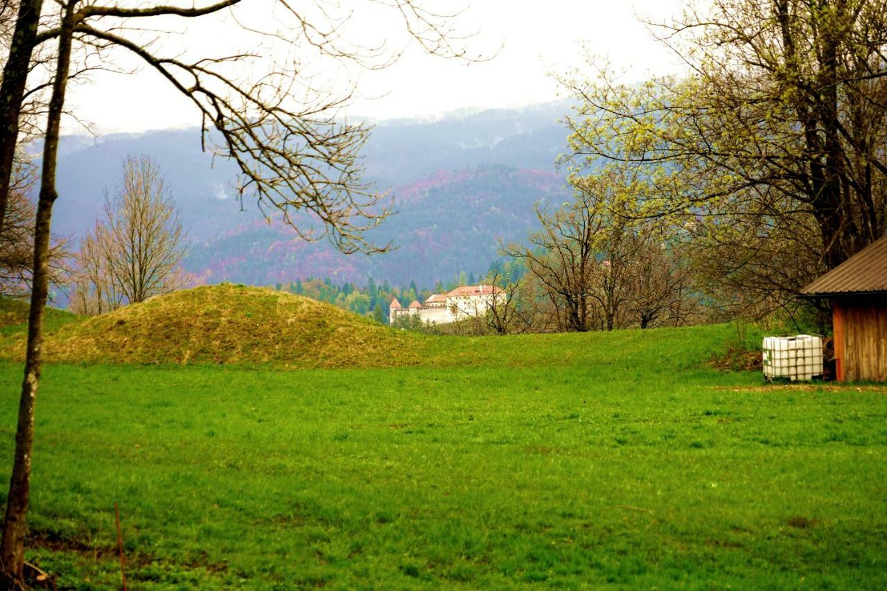 Apartma Erzen *