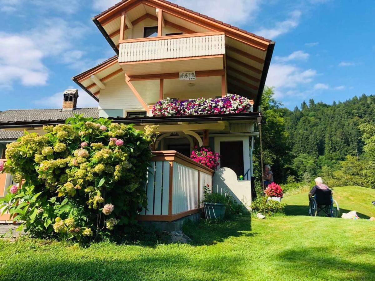 Apartma Erzen